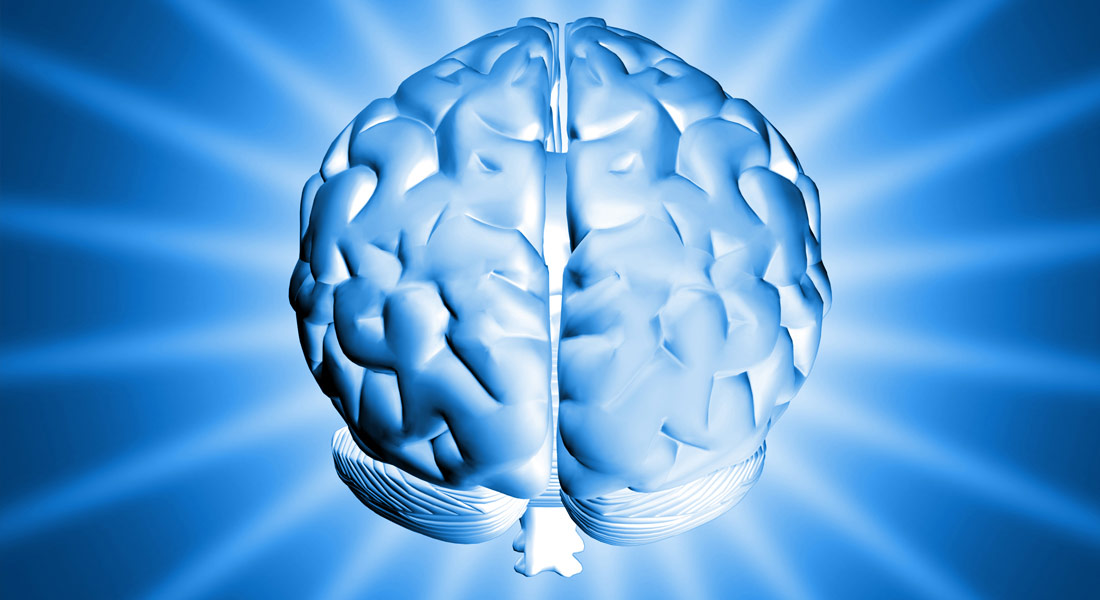 Right Brain, Left Brain