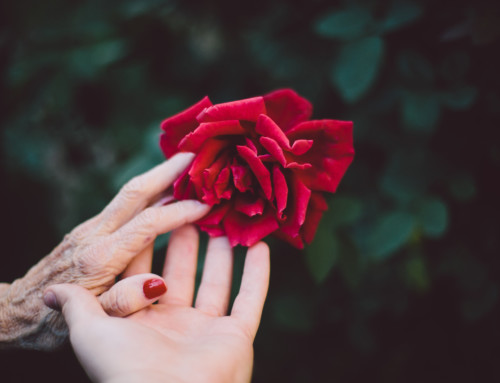 Don’t Worry About Worry