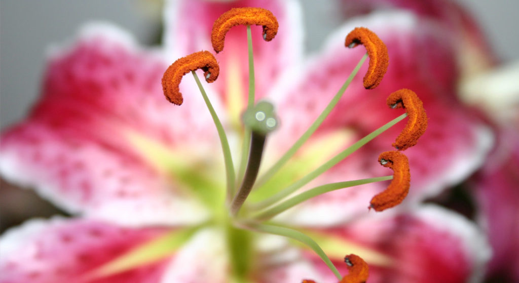 Experiencing an Extreme Low