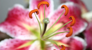 Experiencing an Extreme Low